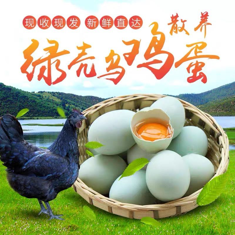 【现捡现发】绿壳乌鸡蛋散养土鸡蛋正宗草鸡蛋月子单笨鸡蛋柴鸡蛋