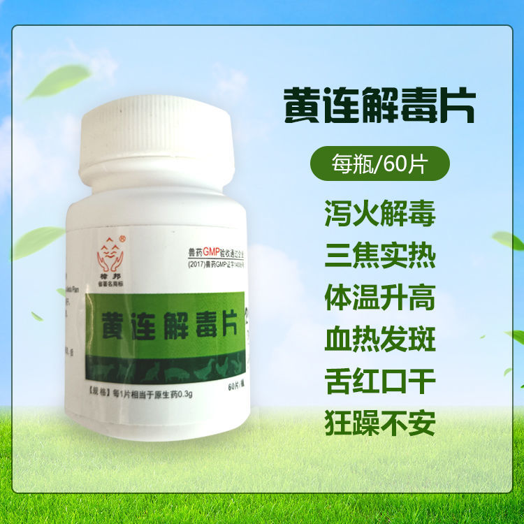 黄连解毒片兽用兽药鸡鸭鹅鸽活法氏囊解毒拉稀消炎鸡药片急救活