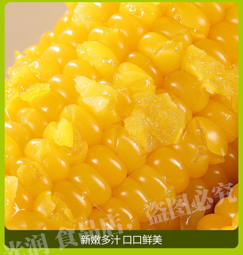【一等黄糯】东北绿色黄糯玉米新鲜现摘真空包装即食甜玉米黏苞米