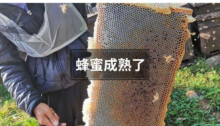 【2斤装】土蜂蜜农家自销蜜野生百花蜜蜂巢蜜圆木桶自然纯蜂蜜【小老头美食】
