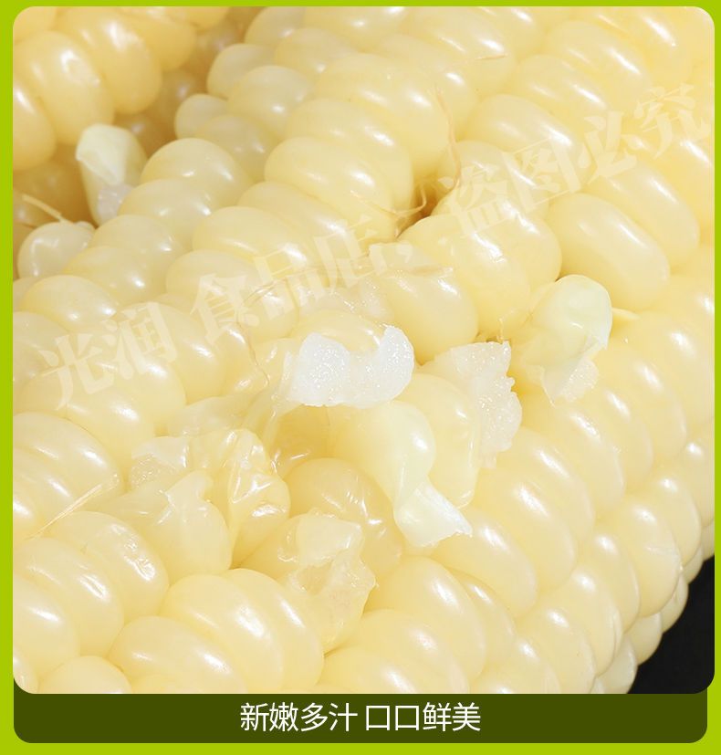 【一等黄糯】东北绿色黄糯玉米新鲜现摘真空包装即食甜玉米黏苞米wy