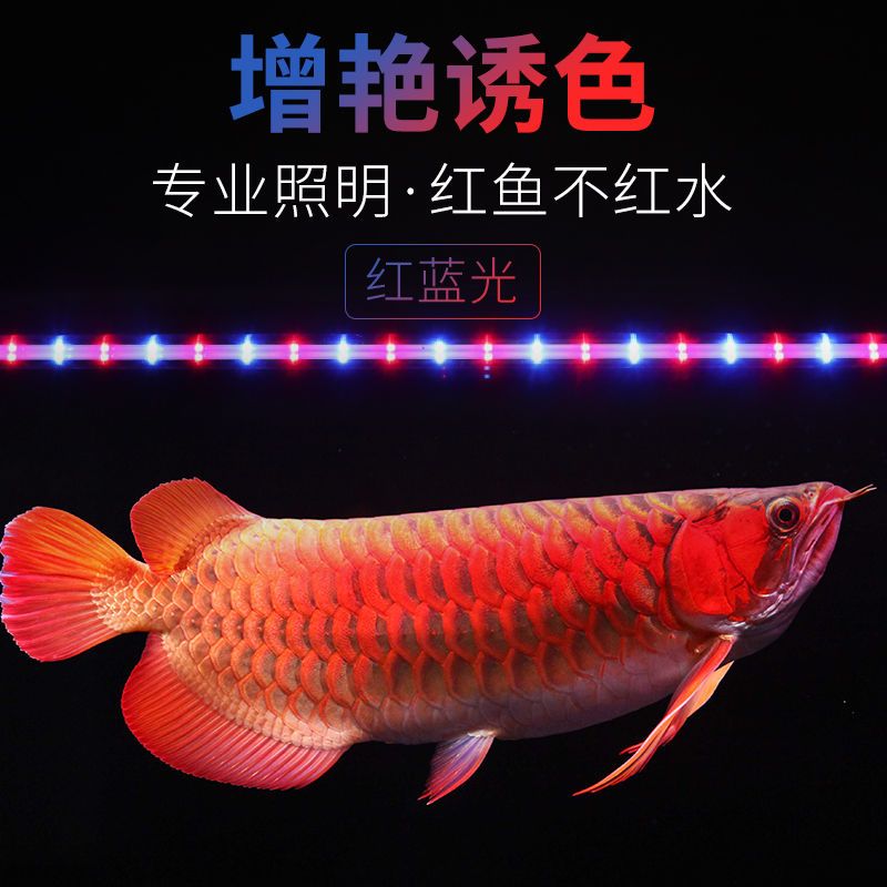 魚缸led燈潛水燈水草燈防水龍魚燈增豔節能超亮水族