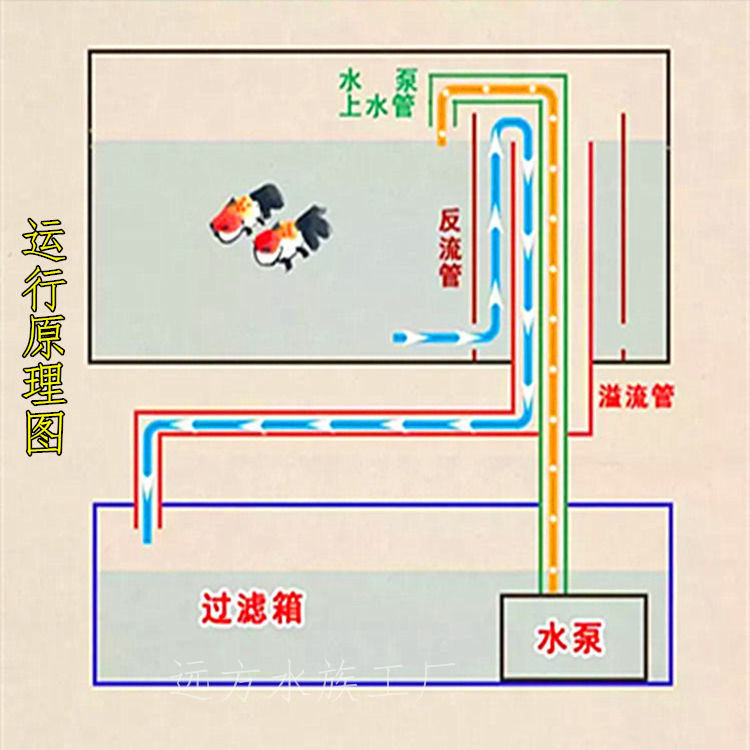 鱼缸四通溢流原理图图片