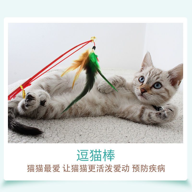 仙女逗猫棒猫玩具自嗨套装猫咪用品小猫宠物用品逗猫神器羽毛