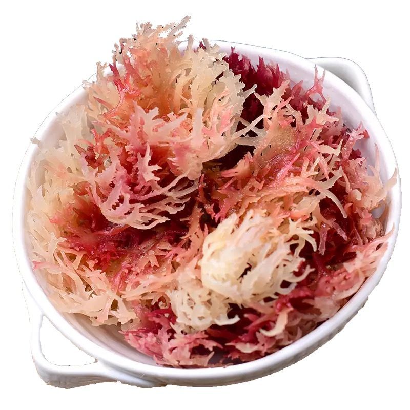 新晒海石花天然红珊瑚海燕窝海菜鹿角菜龙须菜特色海鲜干货7成干