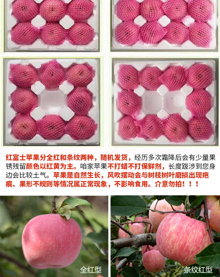 烟台红富士苹果水果5斤山东栖霞当季新鲜水果脆甜整箱批发