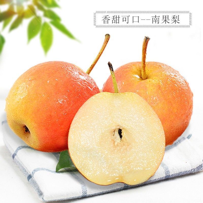 南果梨顺丰5斤包邮正宗辽宁鞍山特产南国梨南水小香水梨孕妇酸梨