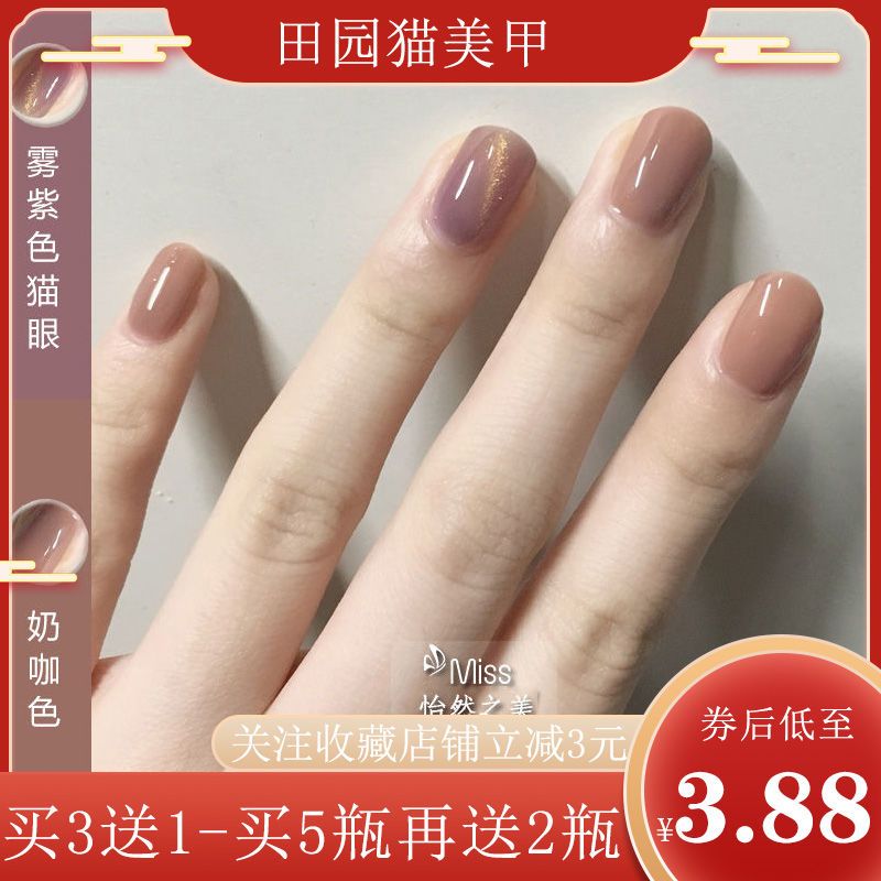 Fog purple cat's eye nail polish new nail shop special net red milk tea popular cat's eye phototherapy glue