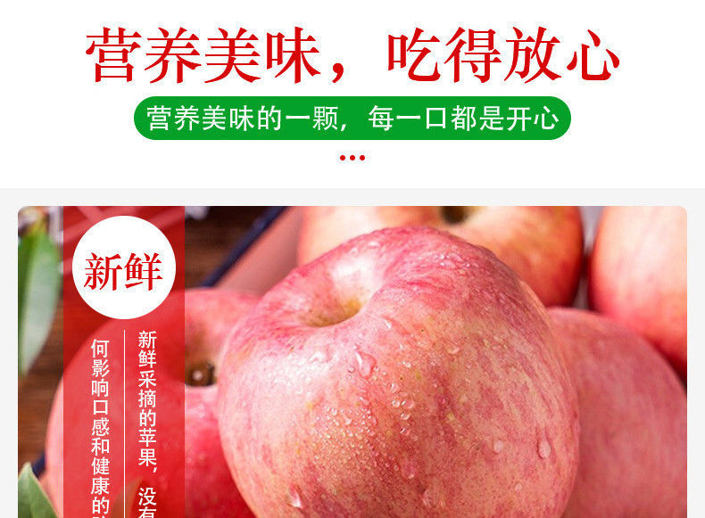 【超低价抢购】陕西红富士苹果水果冰糖心超脆甜10/5/3斤整箱批发