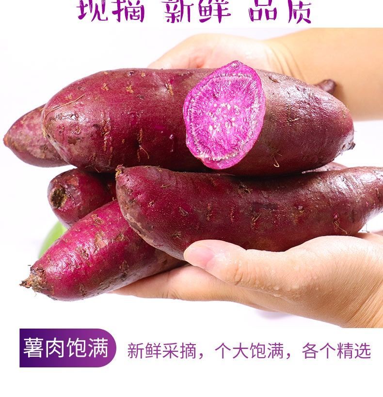 紫薯新鲜10斤紫薯批发小紫薯番薯地瓜板栗紫薯山芋5斤