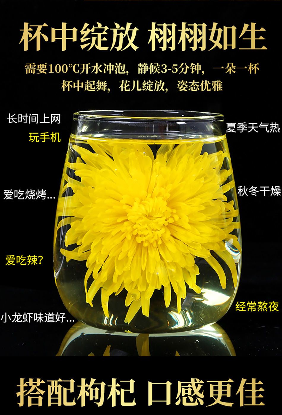 金丝皇菊一朵一杯大黄菊枸杞菊花茶泡茶胎菊贡菊花草茶叶多规格可选