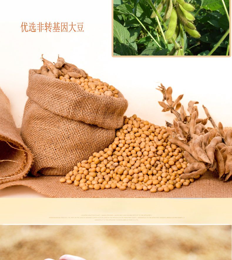 东北笨榨大豆油散装豆油特产食用油饭店家用炒菜油5斤10斤包邮