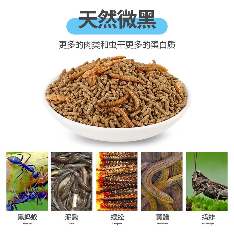 Pet Shangtian Octopus Feed, Bird Feed, Wren Feed, Premium Nutrient, Fat, Hair Changing Bird Feed, Bird Feed