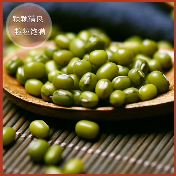 新货东北绿豆小绿豆油绿豆农家自产豆芽发芽高非转基因1斤5斤包邮