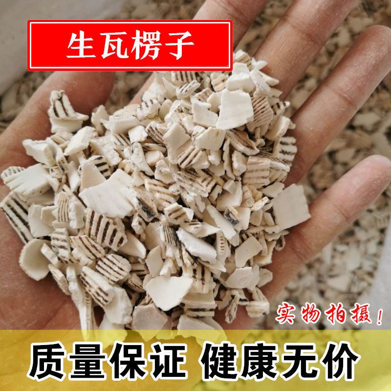 瓦楞子中药材生瓦楞子瓦楞纸 蛤壳 瓦屋子 蜡子壳 有煅瓦楞子