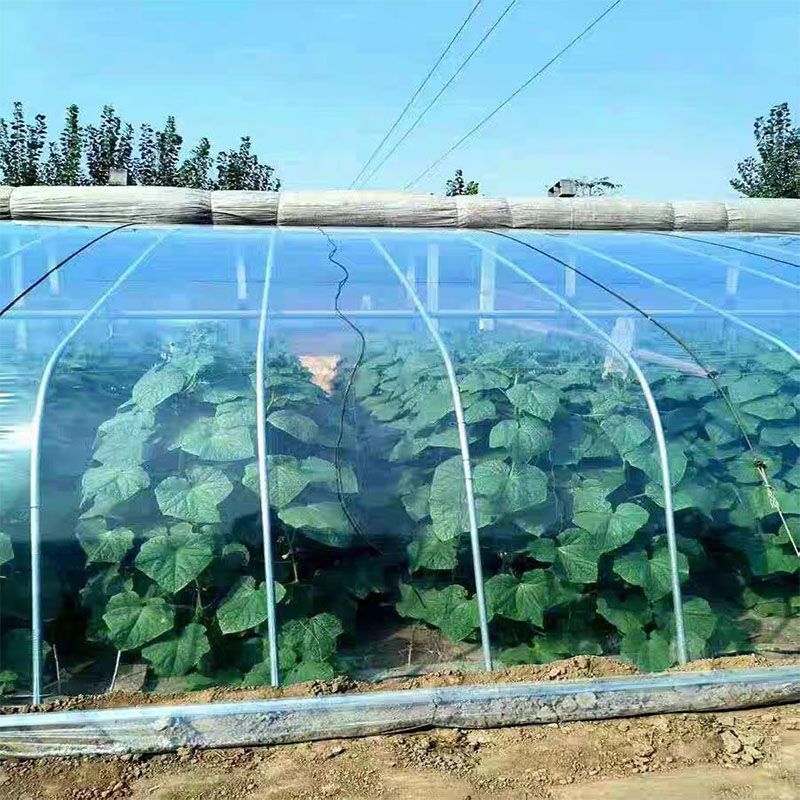 进口po膜大棚膜高透光消雾抗老化温室保温加厚透明薄膜蔬菜种植膜