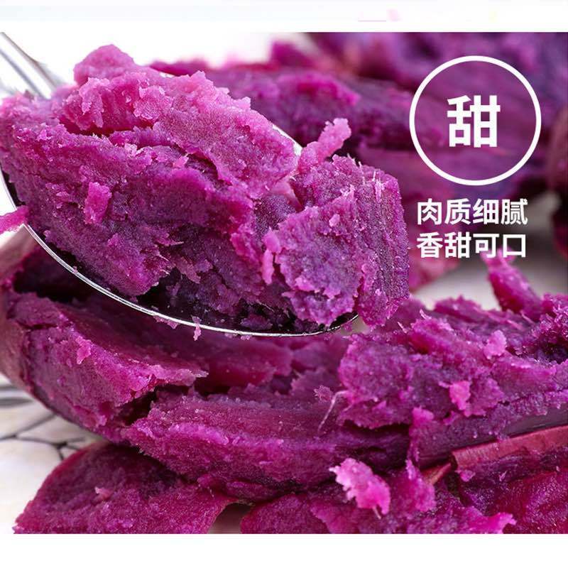 沂蒙山新鲜紫薯现挖紫地瓜农家自种紫心地瓜紫薯番薯新鲜红薯