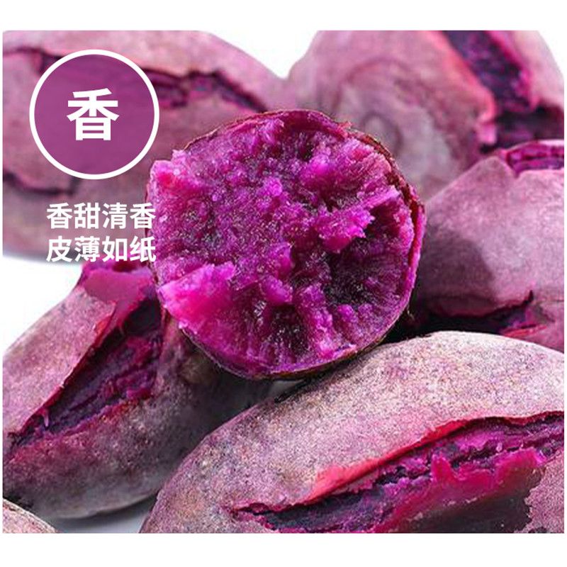 沂蒙山新鲜紫薯现挖紫地瓜农家自种紫心地瓜紫薯番薯新鲜红薯