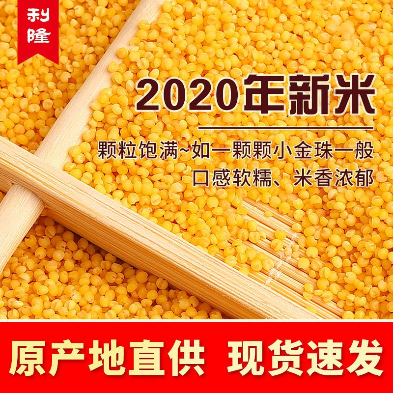 2020年新米赤峰敖汉天山2斤5斤黄小米油厚吃的宝宝月子米熬粥包邮