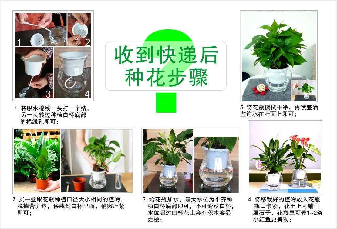 塑料透明花瓶仿玻璃水培懒人盆绿萝发财树观音竹绿植花卉客厅装饰