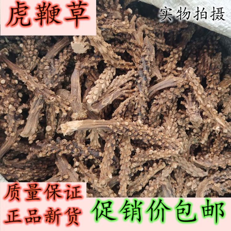 中药材虎鞭草 子孙草 硬劲草苗药虎边草 不老草泡酒料500克包邮