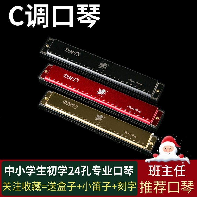 Adult 24 hole C polyphony 10 hole Blues students learn children's instrument harmonica toy harmonica playing