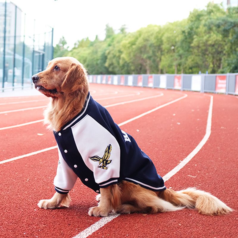 大狗狗衣服大型犬棒球服运动秋装秋冬金毛拉布拉多萨摩耶柯基衣服 虎窝拼