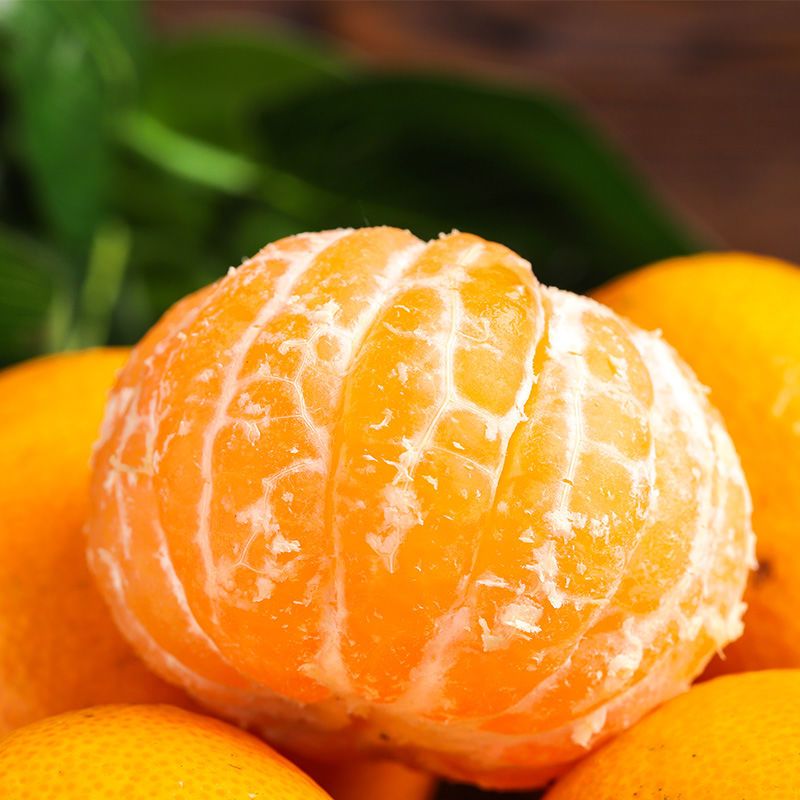现摘宜昌蜜桔桔子水果批发薄皮新鲜橘子应季蜜橘黄皮橘子3/5/9斤