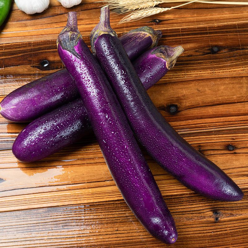 湖南紫色长茄子大茄子紫茄子农家自种现摘当季新鲜蔬菜3/5/10斤