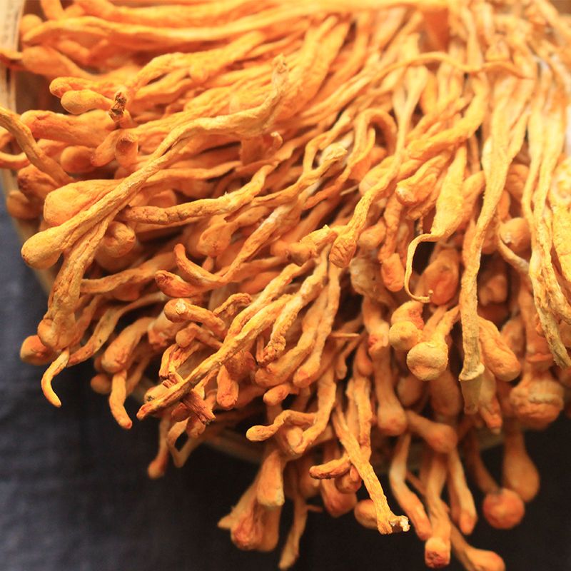 虫草花干货孢子头金虫草菇特级正品野生天然蛹虫草煲汤材料250g