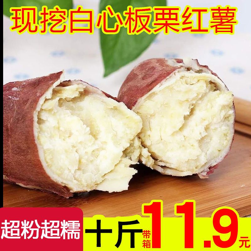 白心红薯板栗薯现挖现发农家老品种地瓜新鲜白瓤番薯红苕2/5/10斤