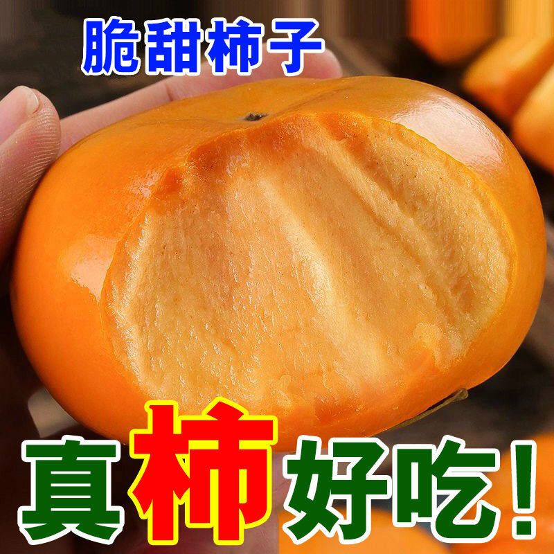 【脆甜】脆柿子新鲜应季水果甜柿子硬巧克力柿子整箱批发冰糖心