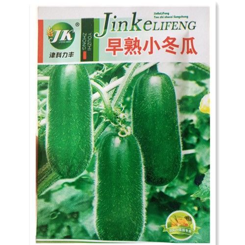 细心毛节瓜种子高产早熟高产小籽粒毛冬瓜籽皮薄肉厚小籽冬瓜节瓜