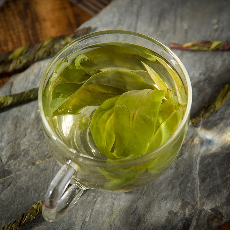 蒲公英苦丁茶苦丁蒲公英茶蒲公英大叶苦丁组合养生茶夏季学生久坐