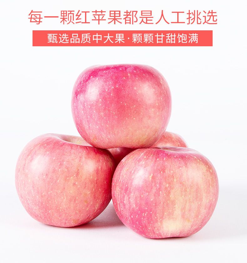 现摘陕西红富士苹果3/5/10斤应季新鲜水果脆甜冰糖心平果整箱批发