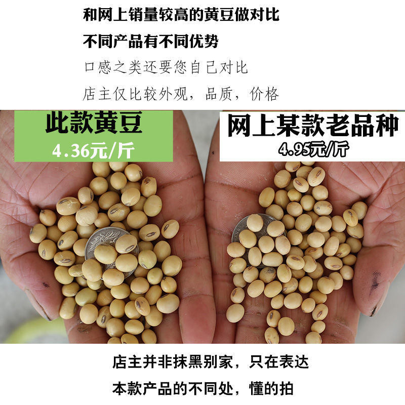  2020新大黄豆打豆浆专用土老品种农家自种土黄豆非转基因椭圆