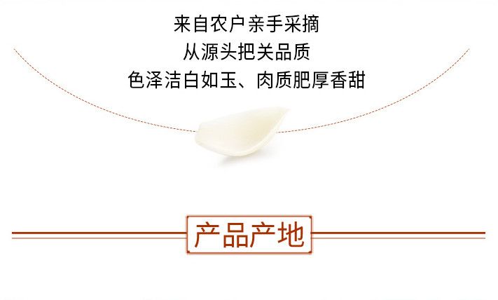 【好品质】百合干龙山新鲜湖南土特产粮油干货食用百合干泡水煲汤