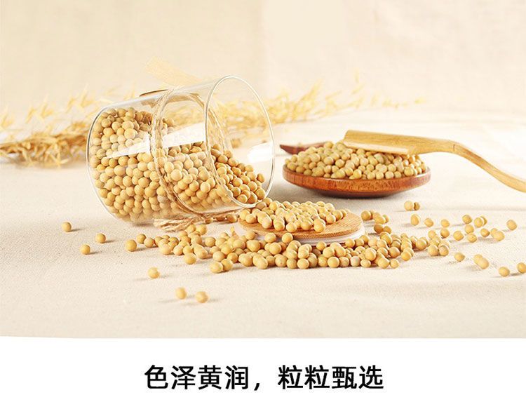 豆类五谷杂粮东北黑龙江大黄豆豆浆黄豆非转基因大豆批发5斤1斤