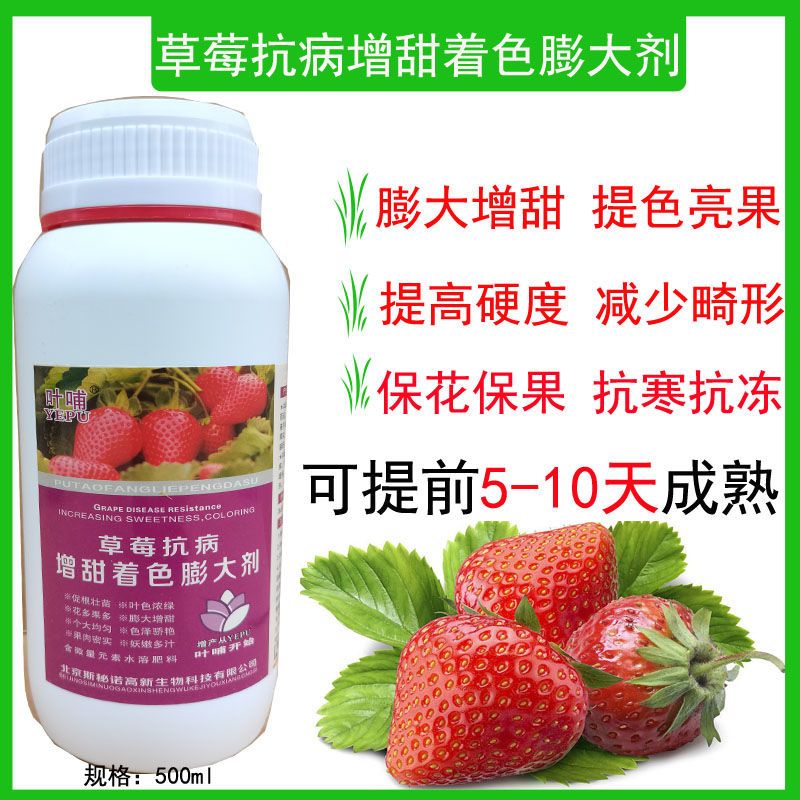草莓抗病增甜着色膨大剂膨大增甜上色保花保果草莓专用膨大剂