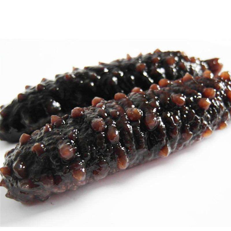 【顺风次日达】纯野生即食短刺海参非大连辽参长岛刺参包邮500g