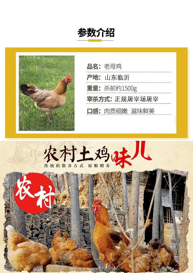  【新鲜现杀】散养2年黑脚老母鸡农家土鸡月子鸡笨鸡柴鸡草鸡整鸡