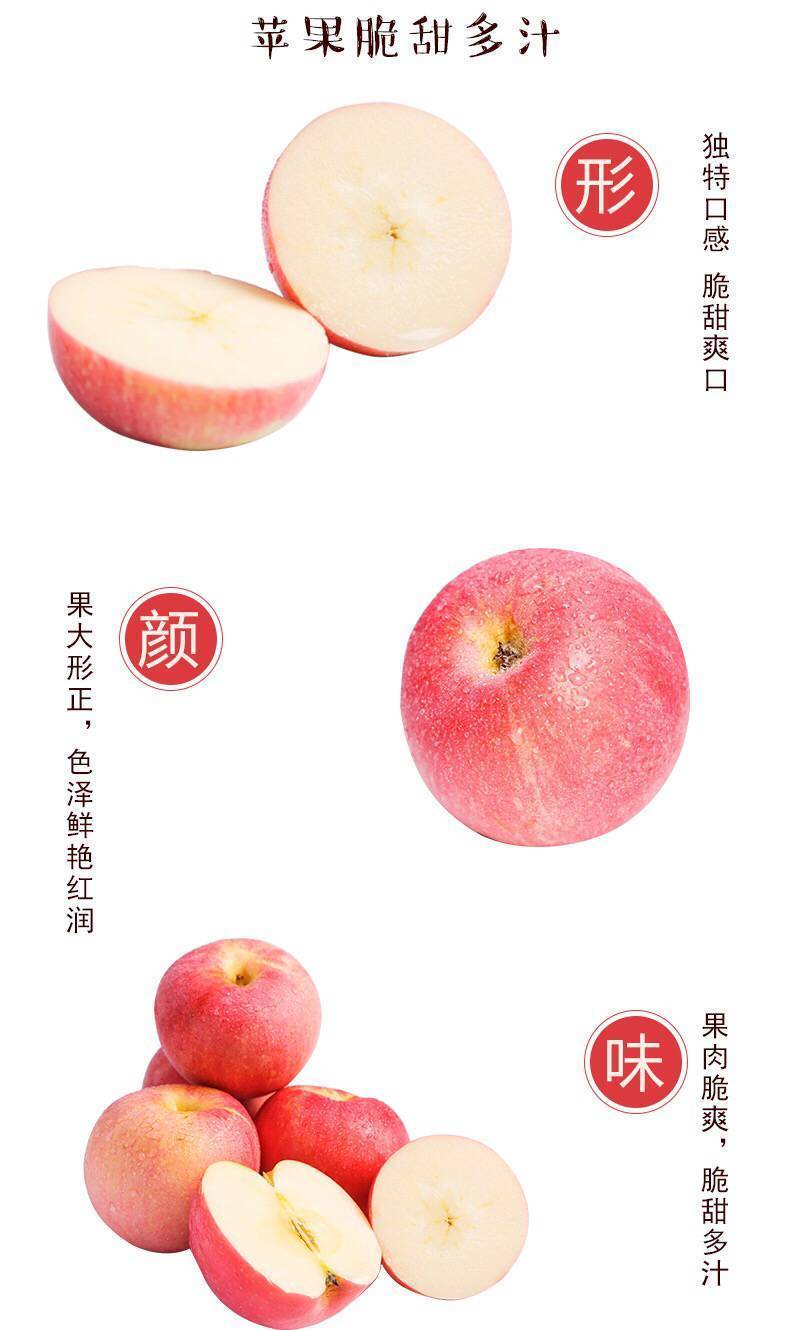 【10斤装】陕西冰糖心红富士苹果新鲜水果(果经70mm--100mm)不打蜡【小老头美食】