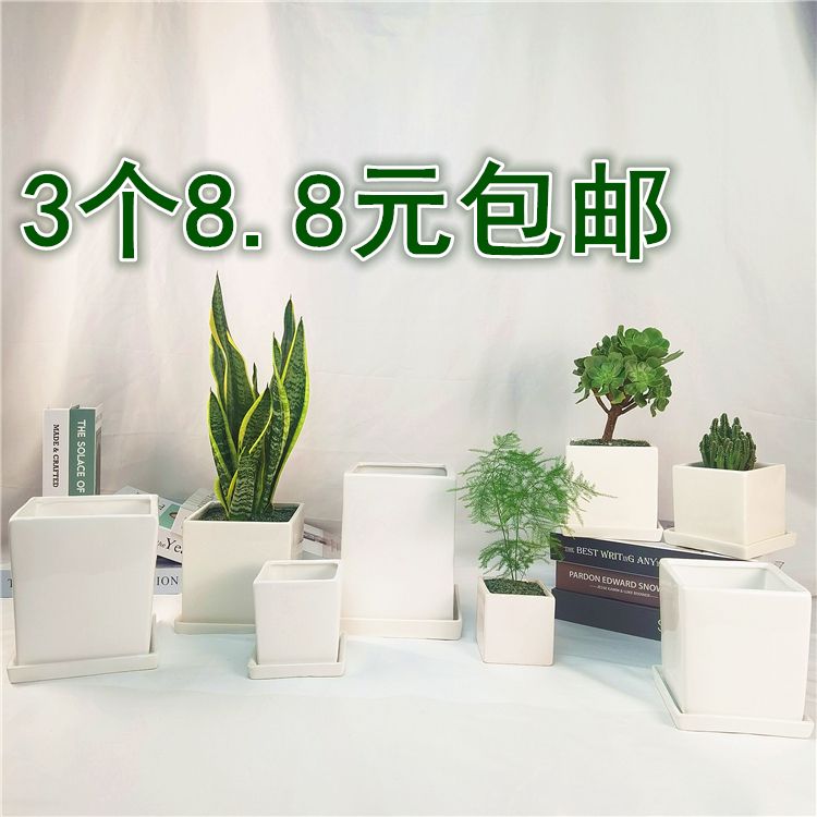 简约陶瓷带托盘多肉ins绿植正方型北欧花器logo订制白色雅佳花盆 虎窝拼