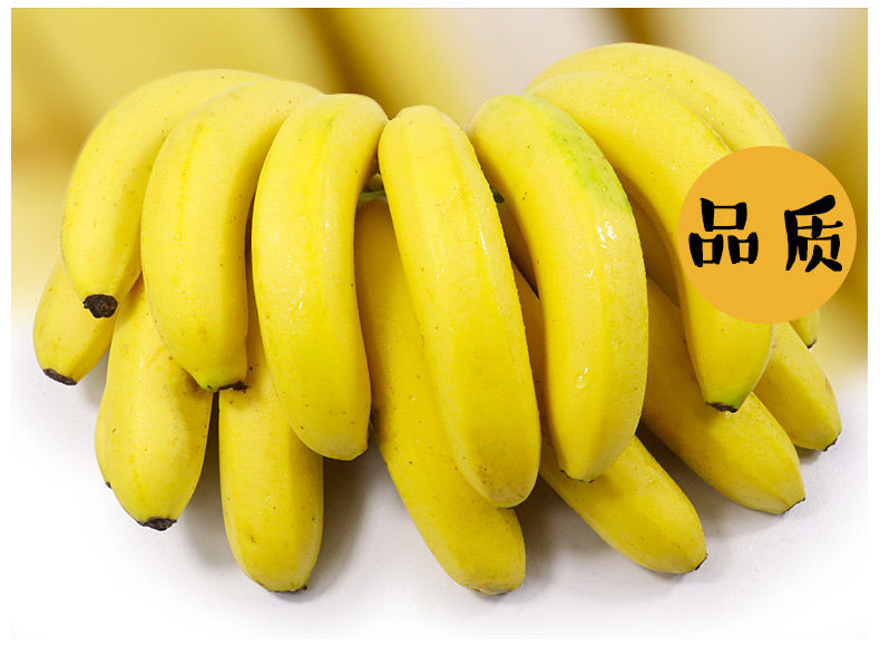 香蕉 高山甜香蕉新鲜 包邮当季孕妇水果 多规格可选