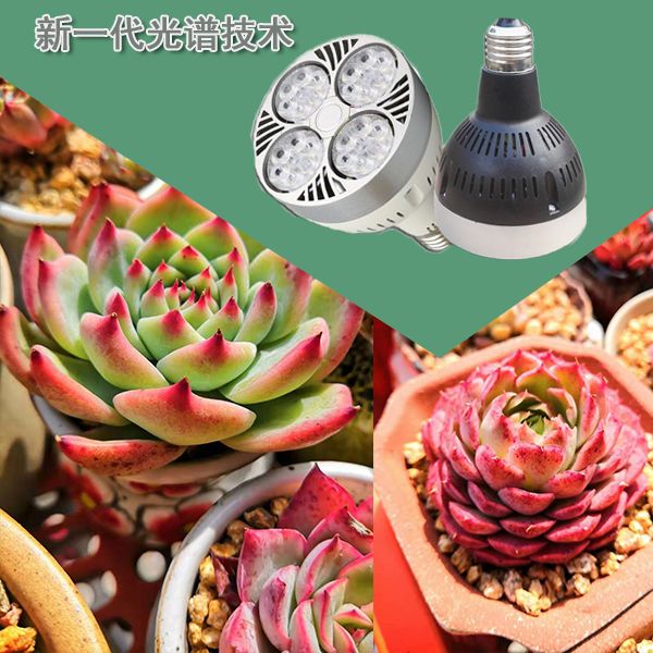 室内全光谱led多肉植物生长灯家用绿植物墙苗圃植物补光led轨道灯 虎窝拼