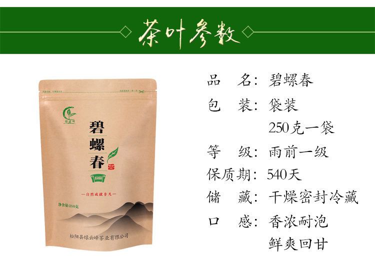 申成 碧螺春2023新茶【买一斤送一斤】绿茶浓香型高山云雾绿茶叶绿云峰