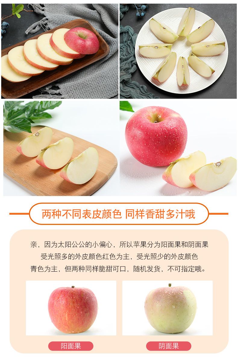 a4ee6b2f-580d-49eb-badb-29e72145c810.jpeg.a.jpeg