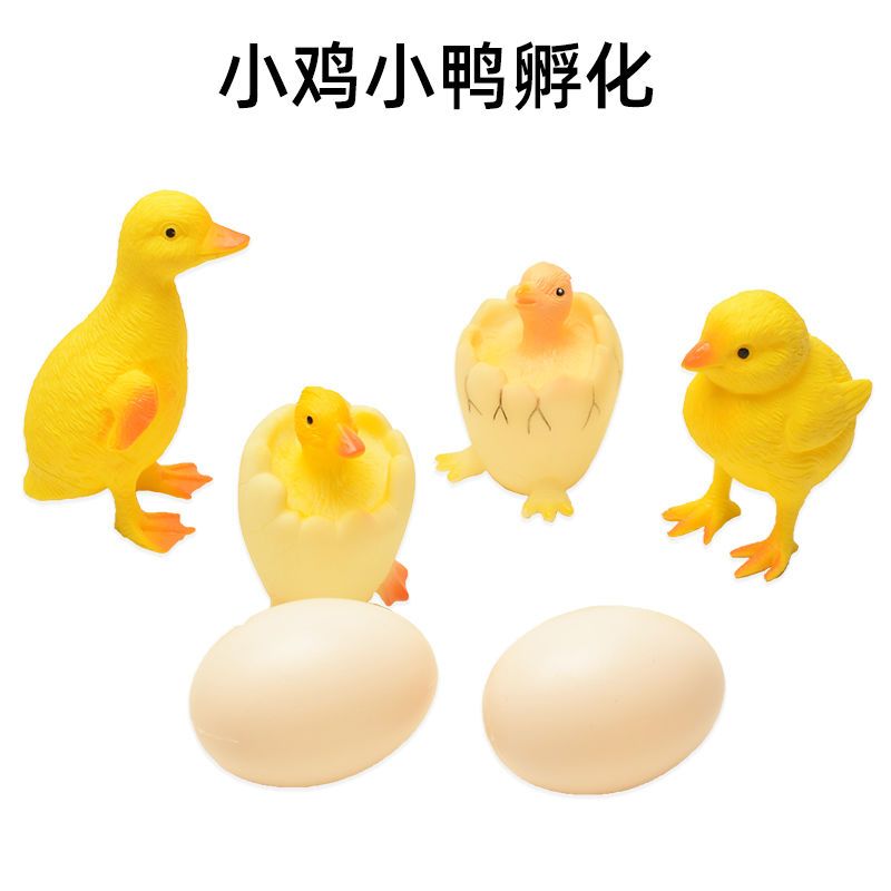 仿真软皮小鸡小鸭玩具孵化小鸡农场动物家禽鸭子儿童益智认知模型