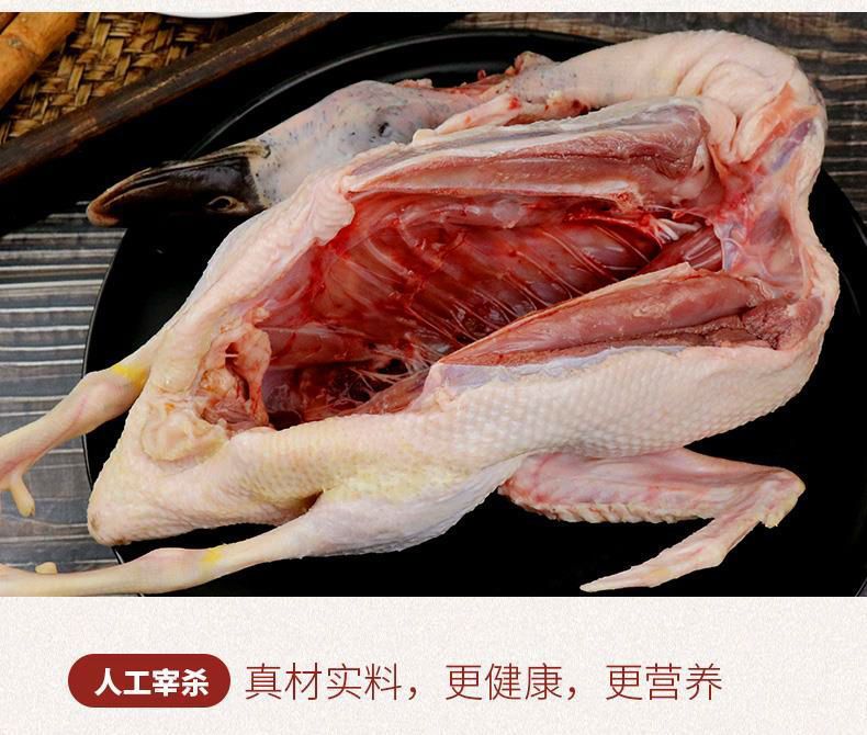 【5年老鸭】农家散养老鸭子土鸭水鸭麻鸭笨鸭生鲜鸭子肉整只现杀