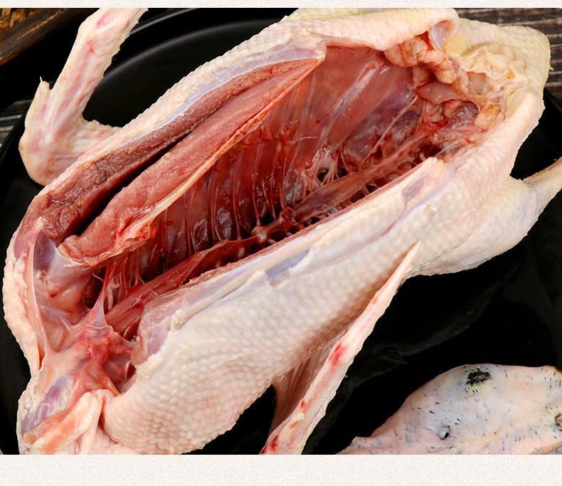 【5年老鸭】农家散养老鸭子土鸭水鸭麻鸭笨鸭生鲜鸭子肉整只现杀